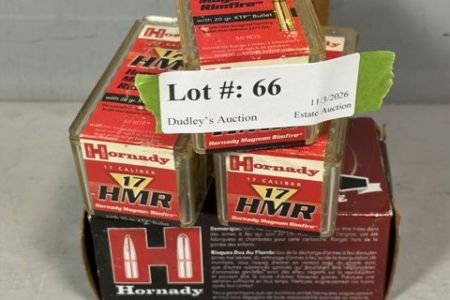 66.jpg